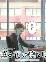 舞台之上 音乐剧竞演综艺全集
